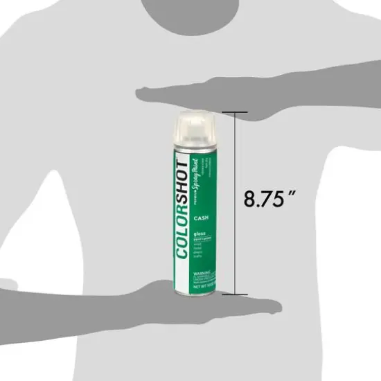 COLORSHOT&reg; Premium Gloss Spray Paint Cash {7}