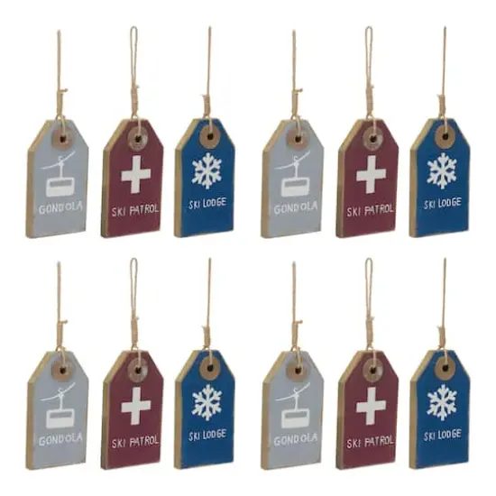 12ct. Ski Tag Ornament {1}