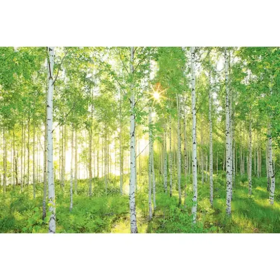 Komar Sunday Wall Mural {1}