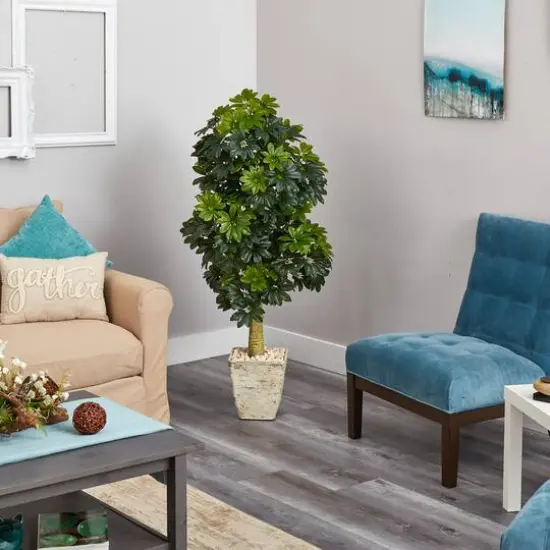 5ft. Umbrella Tree in Country White Planter {4}