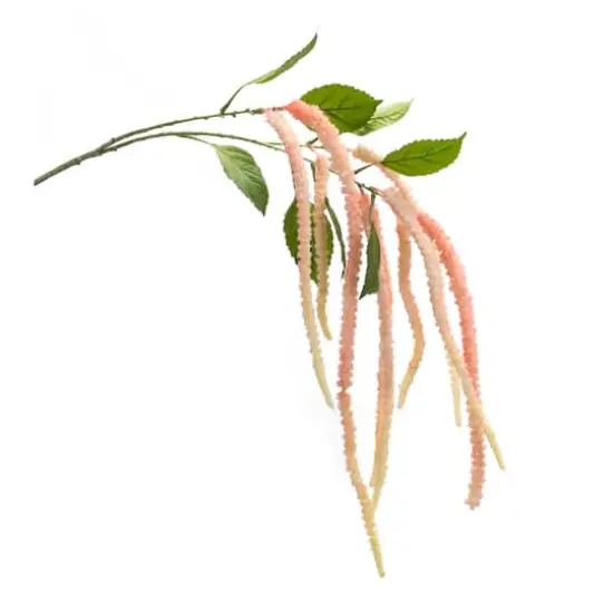 53.25" Pink Amaranthus Floral Stems, 4ct. {4}