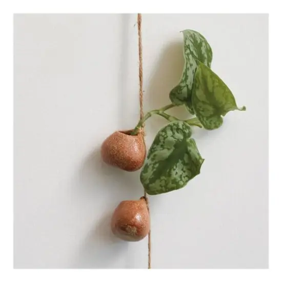 Hello Honey&reg; 21.5" Brown Stoneware Hanging Vases on Jute Rope with Reactive Glaze {4}