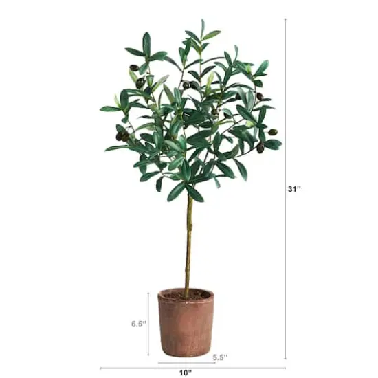 2.5ft. Olive Tree in Brown Planter {3}