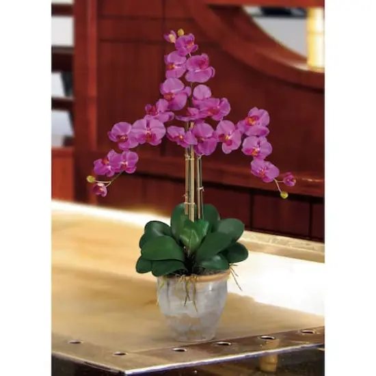 Triple Phalaenopsis Orchid Flower Arrangement In Ceramic Vase {3}