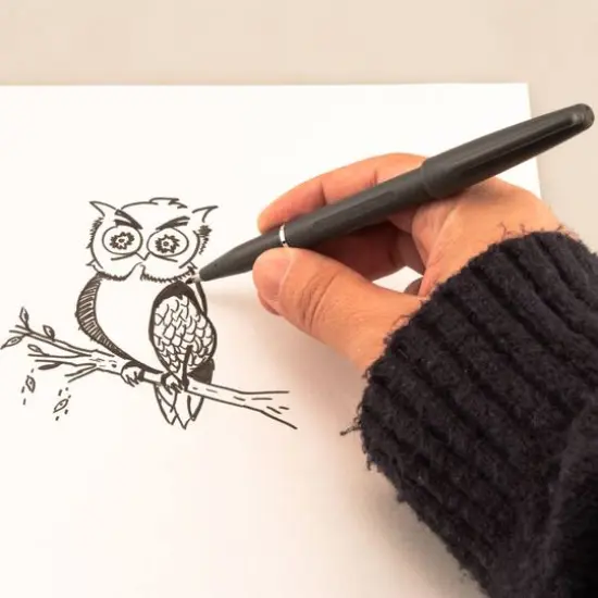 Pentel Arts&reg; Fiber Tip Sign Pen, Black {6}