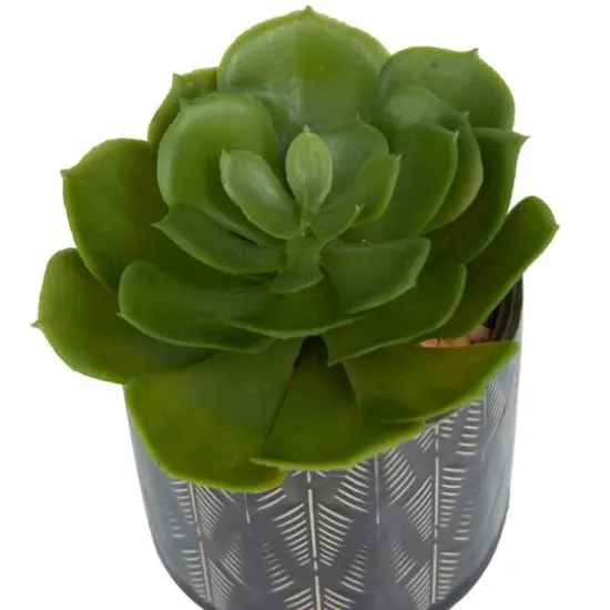 Green Faux Foliage Small Succulent Artificial Plant with Leaf Patterned Pot Set {6}