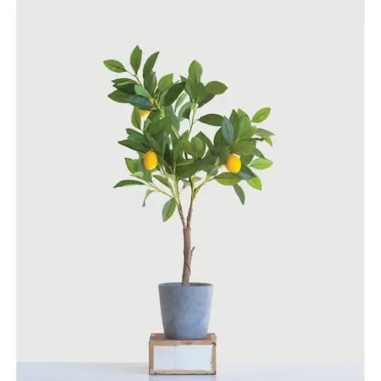 Hello Honey&reg; 2ft. Faux Lemon Tree in Cement Pot {4}