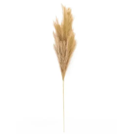 Wispy Pampas Grass Stem by Ashland&reg; {1}
