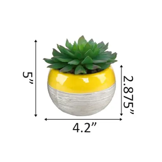 Flora Bunda&reg; Succulent In Two Tone Pattern Yellow Ceramic Pot {3}