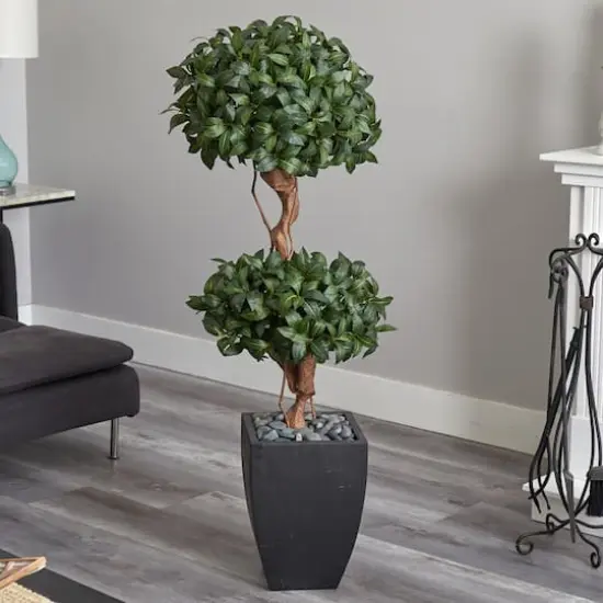 4.5ft. Sweet Bay Double Topiary Tree in Black Planter {5}