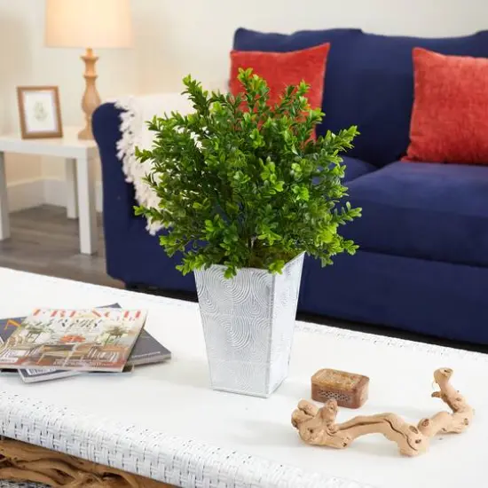 19in. Boxwood Plant in Embossed White Planter {5}