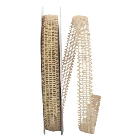 JAM Paper 7/8'' x 25yd. Mesh Jute Edge Ribbon {1}