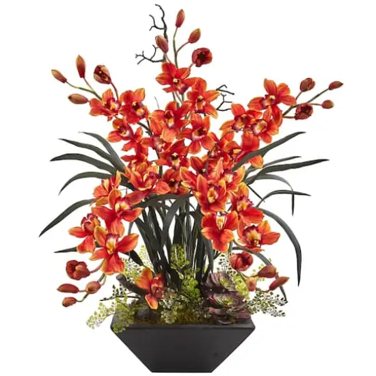 3ft. Red Boat Orchid Arrangement in Black Vase {1}