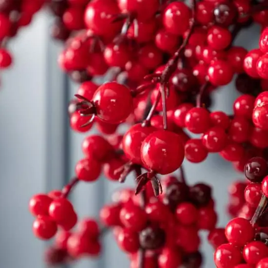 Glitzhome&reg; 25"D Christmas Red Berries Wreath {7}