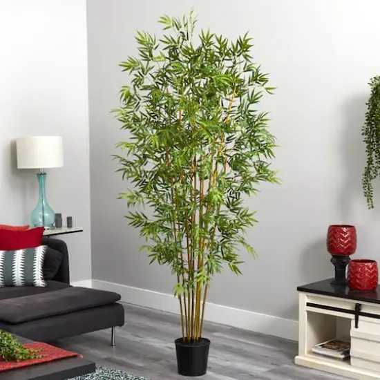 6ft. Potted Mini Bamboo Silk Tree {5}