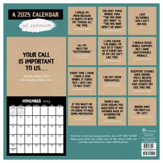 TF Publishing 2025 Anti-Affirmations Wall Calendar {3}