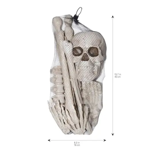 12-Piece Assorted Bones by Ashland&reg; {4}