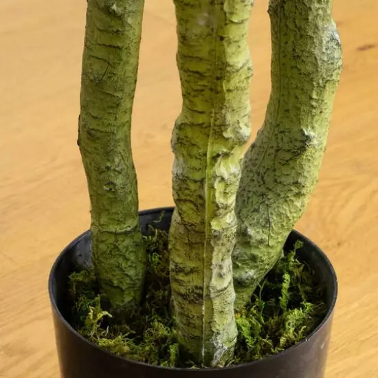 6ft. UV Resistant Artificial Bird Nest Fern Tree (Indoor/Outdoor) {7}