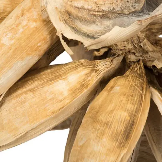 Extra Large Bleached Star Pod {4}