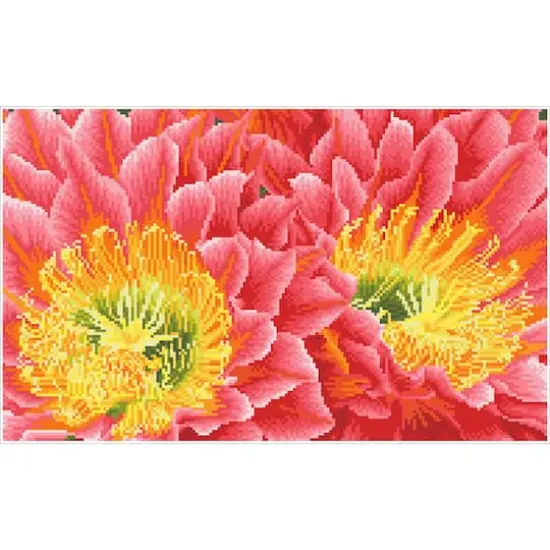 Diamond Dotz® Intermediate Desert Blooms Pre-Framed Diamond Painting Kit {3}