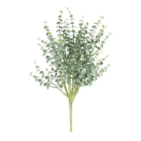Eucalyptus Bush by Ashland&reg; {1}