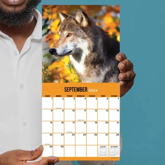 TF Publishing 2024 Wolves Mini Calendar {6}