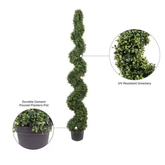 6ft. Potted Boxwood Spiral Tree {9}
