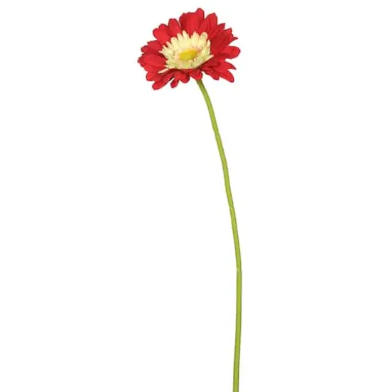 Red Gerbera Daisy Stem, 6ct. {1}