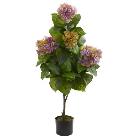 3.5ft. Potted Purple Hydrangea {1}