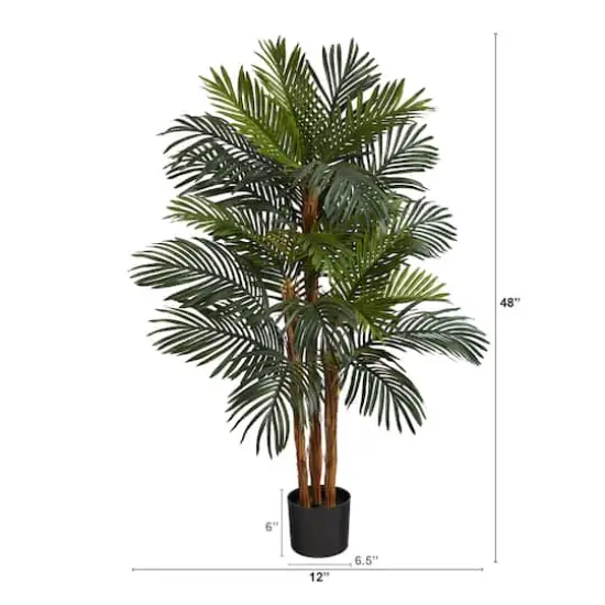 4ft. Potted Date Palm Tree {3}