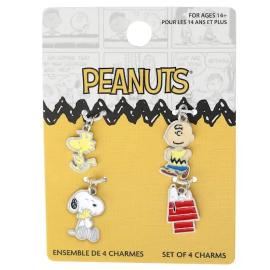 Peanuts&reg; Snoopy & Charlie Brown 4-Piece Enamel Charm Set {4}