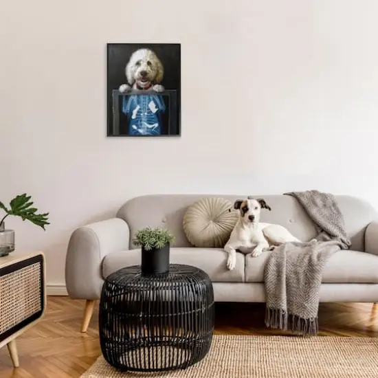 Stupell Industries Funny Dog X-Ray Snacks Framed Giclee Art Black {3}