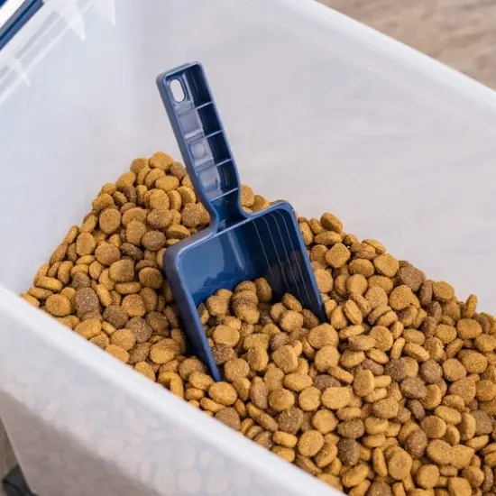 IRIS&reg; Airtight Container Set with Blue Buckle Lid {5}