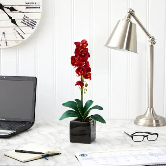 20" Orchid Arrangement in Black Planter {3}