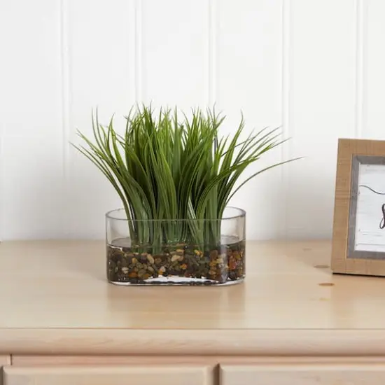 9'' Vanilla Grass Plant in Clear Oval Vase {4}