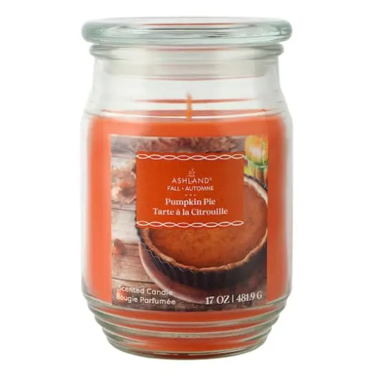 17oz. Fall Scented Jar Candle by Ashland&reg; Pumpkin Pie {1}