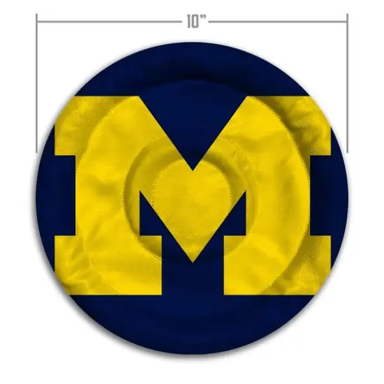 NCAA Flimzee Bean-Bag Flying Disc Michigan Wolverines {6}