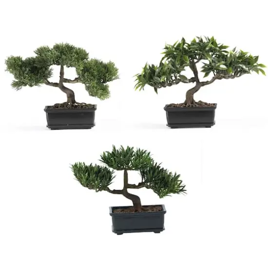 8.5" Bonsai Collection, 3ct. {1}