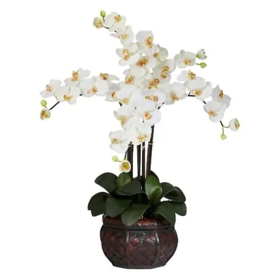 3ft. White Moth Orchid Arrangement in Decorative Vase {1}