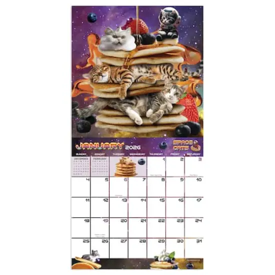 2026 Space Cats Mini Calendar {3}