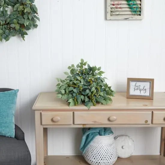 20'' Mixed Ficus & Fittonia Ledge Plant  {4}