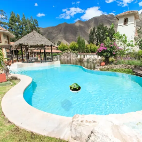 Swimline HydroTools 7.5" Floating Turtle Pool Chlorine Dispenser {3}