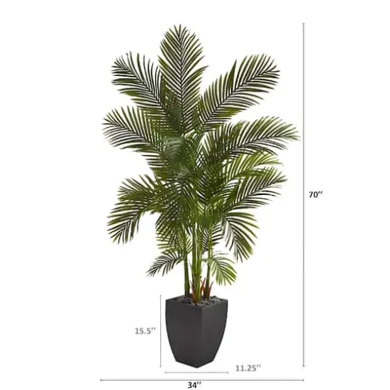 5.5ft. Areca Palm Tree in Black Planter {3}