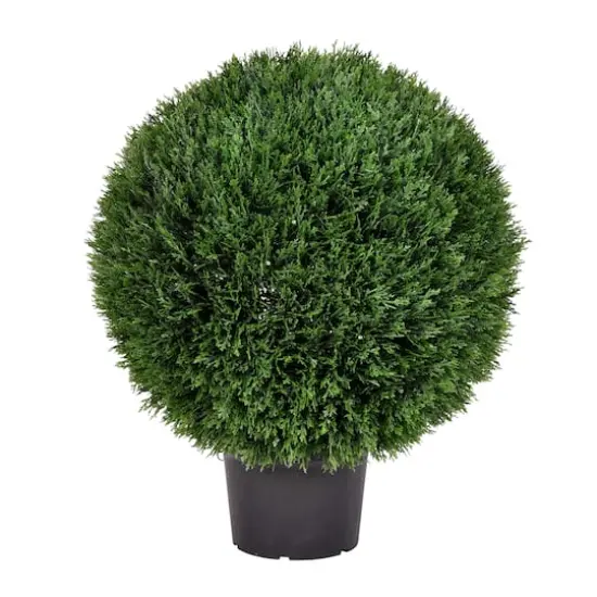 2ft. Potted Green Cedar Ball {1}
