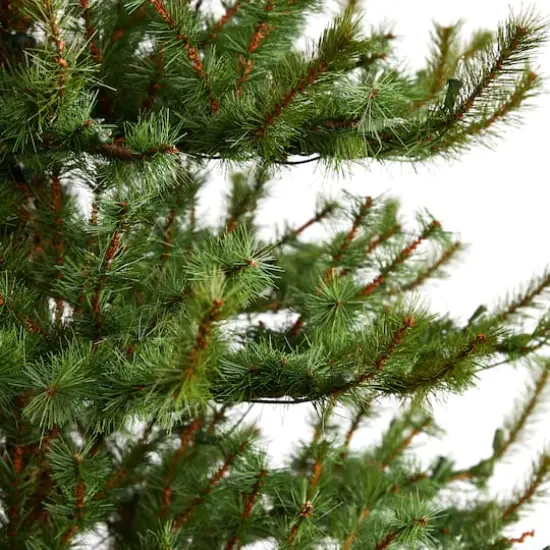 8ft. Pre-Lit Vancouver Mountain Pine Artificial Christmas Tree, Clear Lights {6}