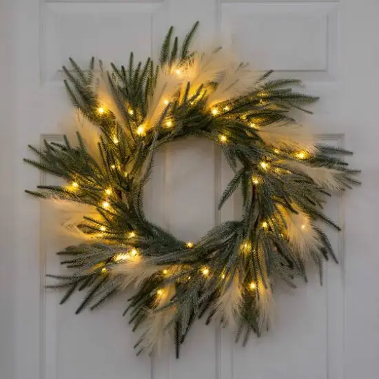 24in. Artificial Balsam Fir Pine and Pampas Wreath with 50 Color Changing LED Lights {18}