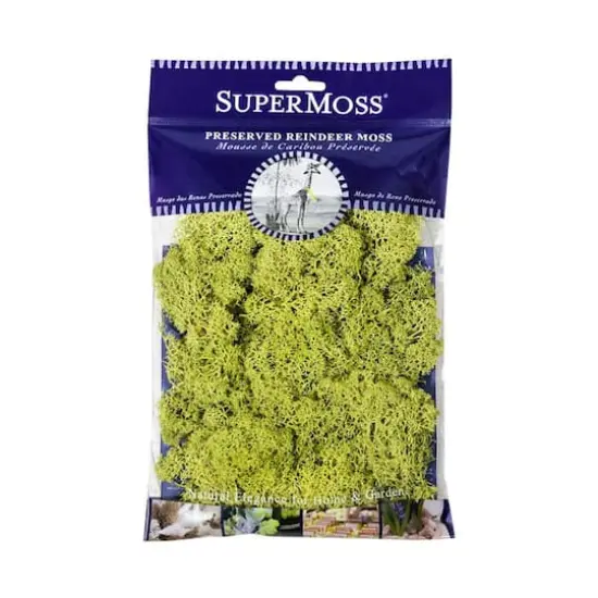 SuperMoss&reg; Chartreuse Preserved Reindeer Moss, 2oz. {1}