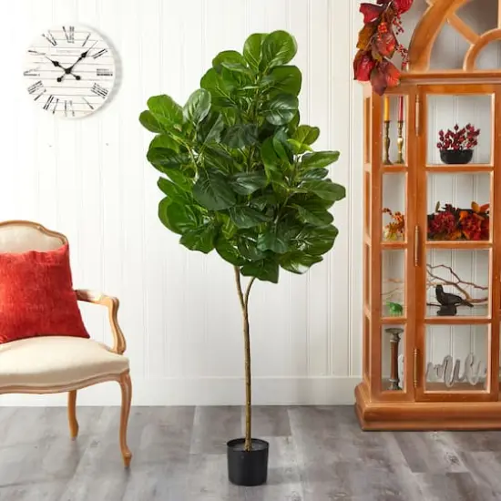 6ft. Potted Fiddle Leaf Fig Tree {4}
