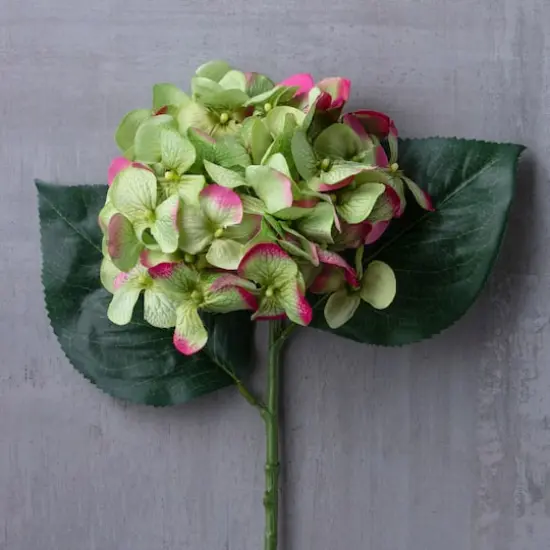 25" Hydrangea Stem by Ashland&reg; Green {3}