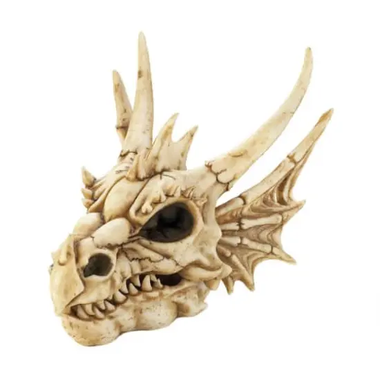 8.5" Detailed Dragon Skull Trinket Box {1}